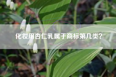 化妆用杏仁乳属于商标第几类？