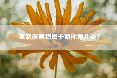 草制覆盖物属于商标第几类？