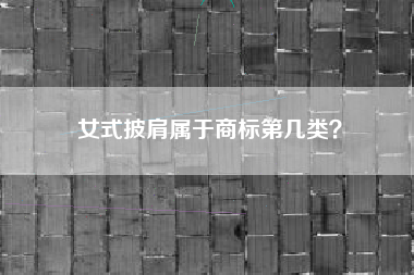 女式披肩属于商标第几类？