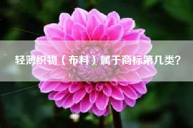 轻薄织物（布料）属于商标第几类？