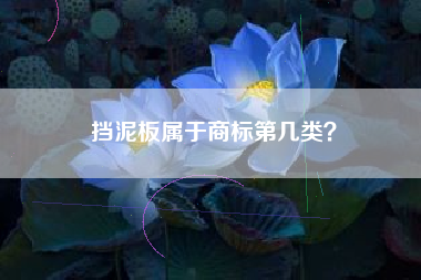 挡泥板属于商标第几类？
