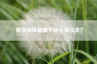 番茄调味酱属于商标第几类？