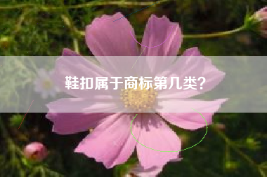 鞋扣属于商标第几类？