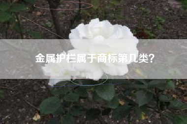 金属护栏属于商标第几类？