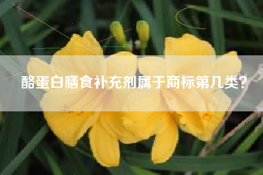 酪蛋白膳食补充剂属于商标第几类？