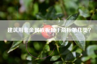 建筑用非金属嵌板属于商标第几类？