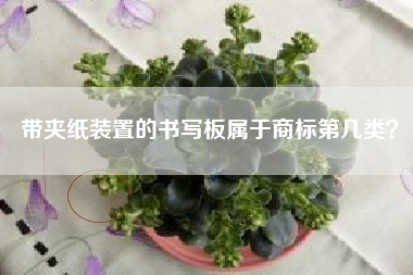 带夹纸装置的书写板属于商标第几类？