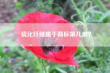 硫化纤维属于商标第几类？