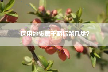 医用冰袋属于商标第几类？