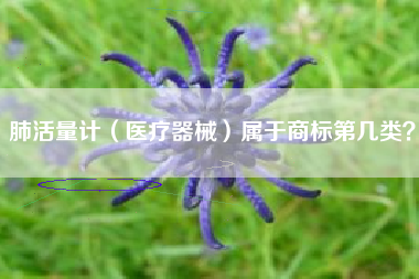 肺活量计（医疗器械）属于商标第几类？