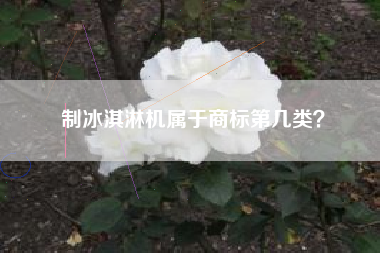 制冰淇淋机属于商标第几类？