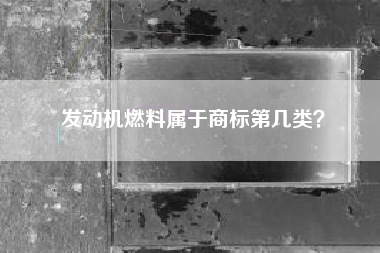 发动机燃料属于商标第几类？