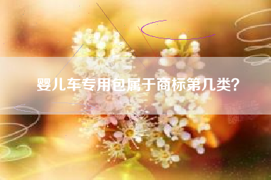婴儿车专用包属于商标第几类？