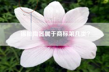 锡釉陶器属于商标第几类？