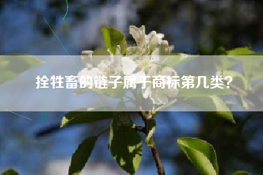 拴牲畜的链子属于商标第几类？