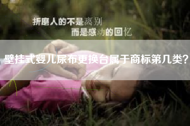 壁挂式婴儿尿布更换台属于商标第几类？