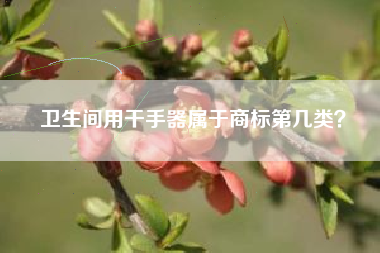 卫生间用干手器属于商标第几类？