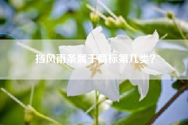 挡风雨条属于商标第几类？