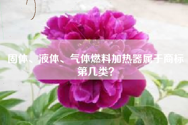 固体、液体、气体燃料加热器属于商标第几类？