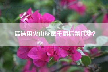 清洁用火山灰属于商标第几类？