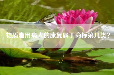物质滥用病人的康复属于商标第几类？