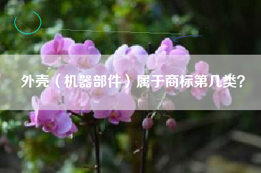 外壳（机器部件）属于商标第几类？