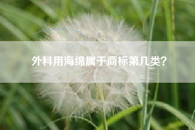 外科用海绵属于商标第几类？