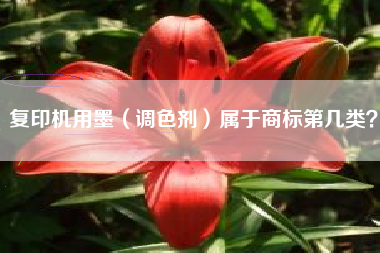 复印机用墨（调色剂）属于商标第几类？