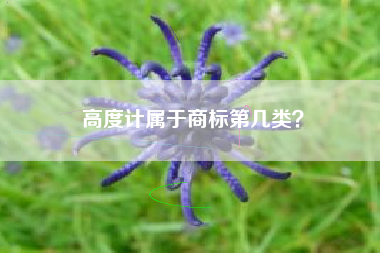 高度计属于商标第几类？