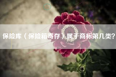 保险库（保险箱寄存）属于商标第几类？