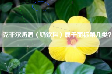 克非尔奶酒（奶饮料）属于商标第几类？