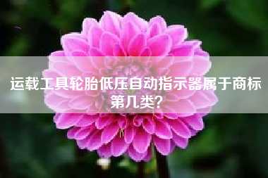 运载工具轮胎低压自动指示器属于商标第几类？