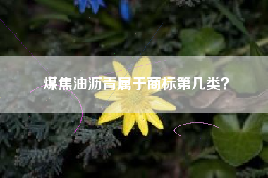 煤焦油沥青属于商标第几类？