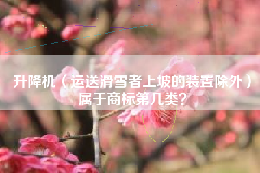 升降机（运送滑雪者上坡的装置除外）属于商标第几类？