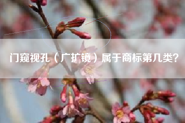 门窥视孔（广扩镜）属于商标第几类？