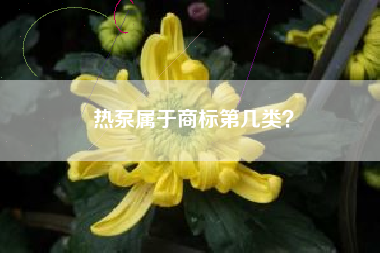 热泵属于商标第几类？