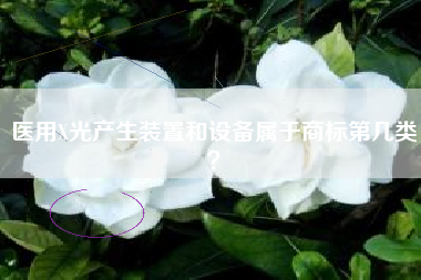 医用X光产生装置和设备属于商标第几类？