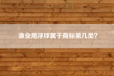 渔业用浮球属于商标第几类？