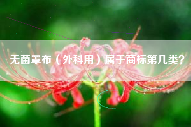 无菌罩布（外科用）属于商标第几类？