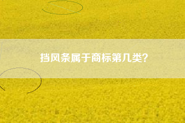 挡风条属于商标第几类？