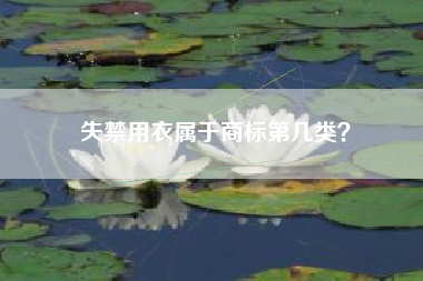 失禁用衣属于商标第几类？
