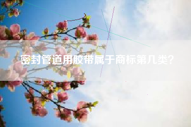 密封管道用胶带属于商标第几类？