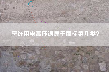 烹饪用电高压锅属于商标第几类？