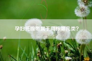孕妇托腹带属于商标第几类？