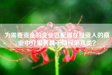 为需要资金的企业匹配潜在投资人的商业中介服务属于商标第几类？