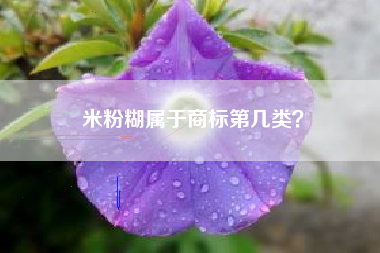 米粉糊属于商标第几类？