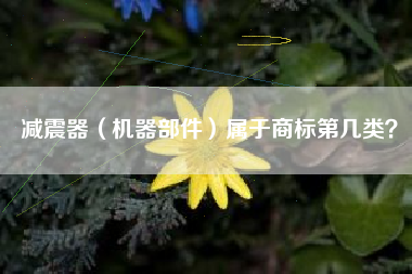 减震器（机器部件）属于商标第几类？