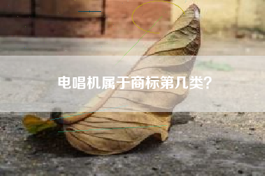电唱机属于商标第几类？