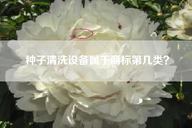 种子清洗设备属于商标第几类？