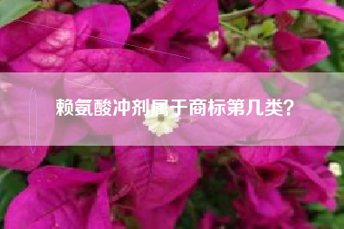 赖氨酸冲剂属于商标第几类？